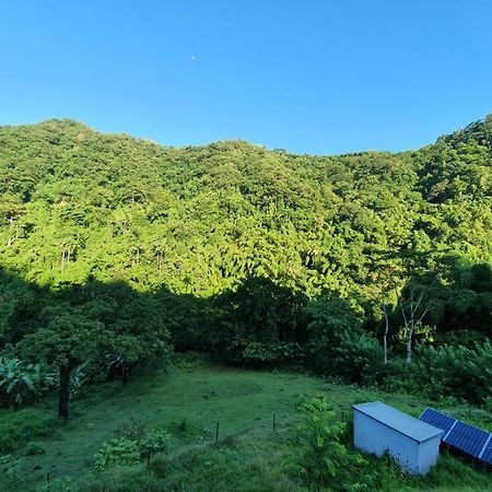 Spacieux Appartement A La Villa Montagne Le Carbet Exteriör bild